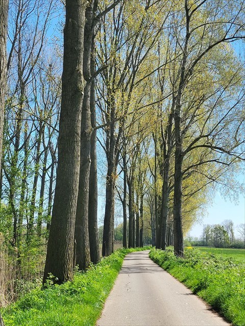 Fruitrondje Maas en Waal weg